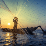 How to Take Advantage from the Expert Fishers?
