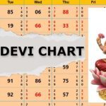 Sridevi Day Chart